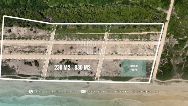 Exclusive Palmarito Coastal Lots