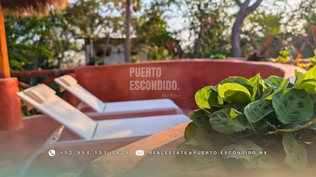 Casa ecológica única en La Punta - Miniatura 6