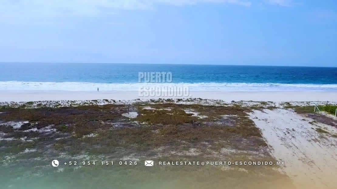 Lotes Frente al Mar en Palmarito - Miniatura 6
