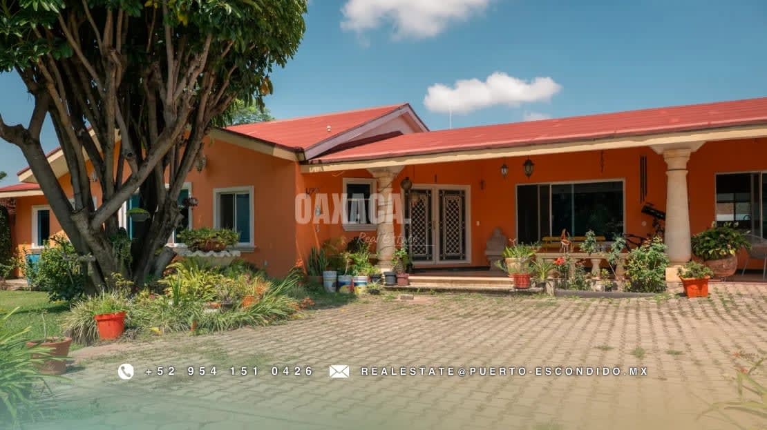 Residencia Amplia con Jardines Exuberantes - Miniatura 8