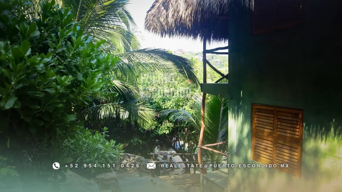 Inversión Hotelera a Pasos del Mar en Zipolite - Miniatura 11