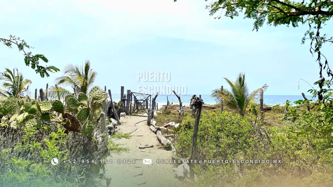 Terreno Frente al Mar con Cabañas Ecológicas - Miniatura 9