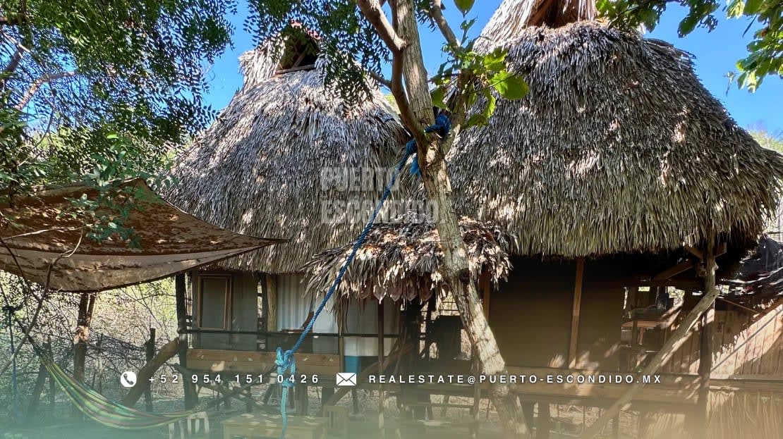 Terreno Frente al Mar con Cabañas Ecológicas - Miniatura 30