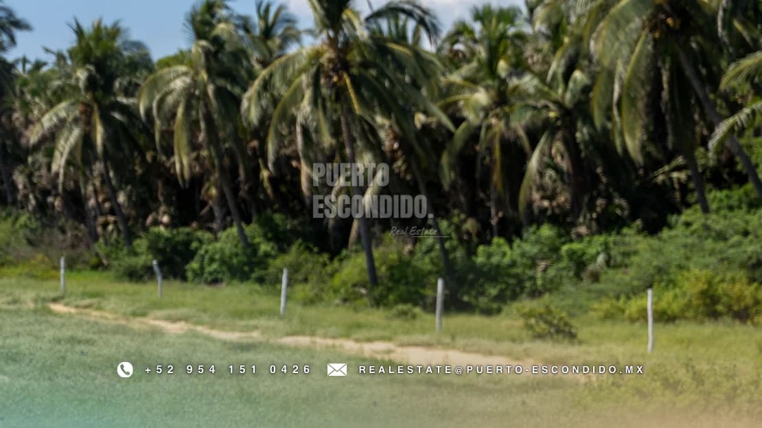 Lotes Exclusivos en Palmarito - Miniatura 7