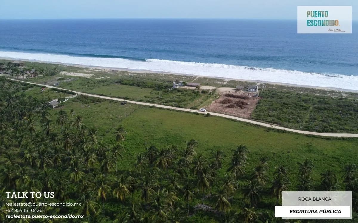 Lote de 1 Hectárea a unos pasos de la playa, El Venado (Roca Blanca) - Miniatura 7