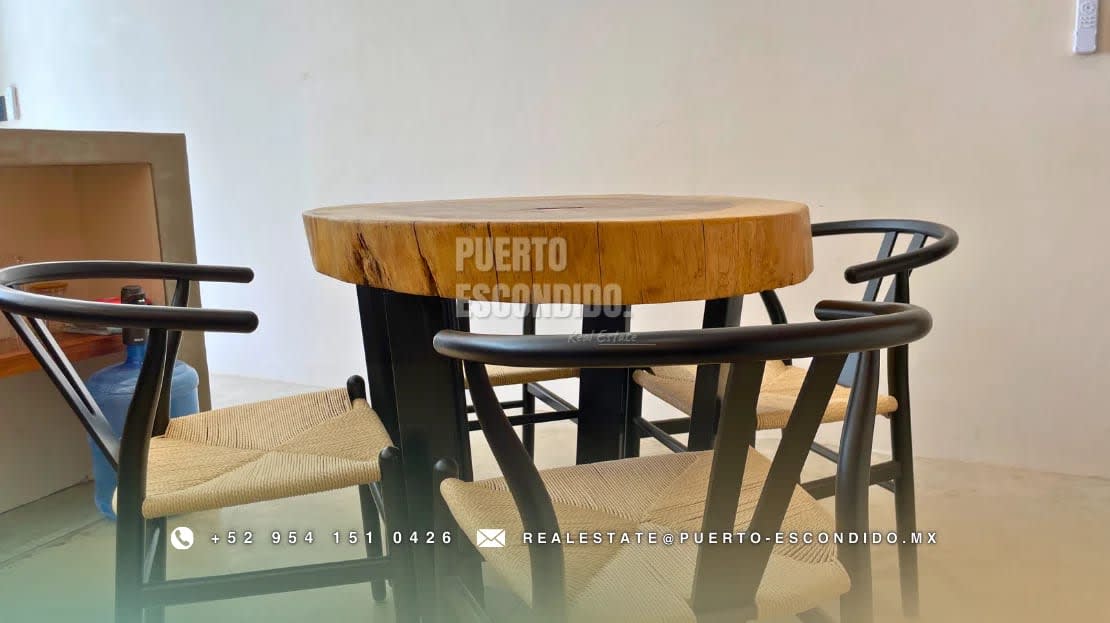 PUNTA – Santuario Moderno de Vida Costera - Miniatura 8