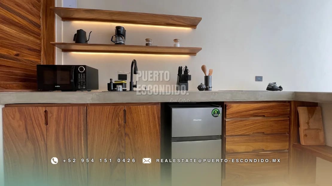 PUNTA – Santuario Moderno de Vida Costera - Miniatura 16