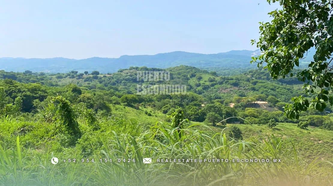 Lote con Vista al Mar en Miramar, Bajos de Chila - Miniatura 13