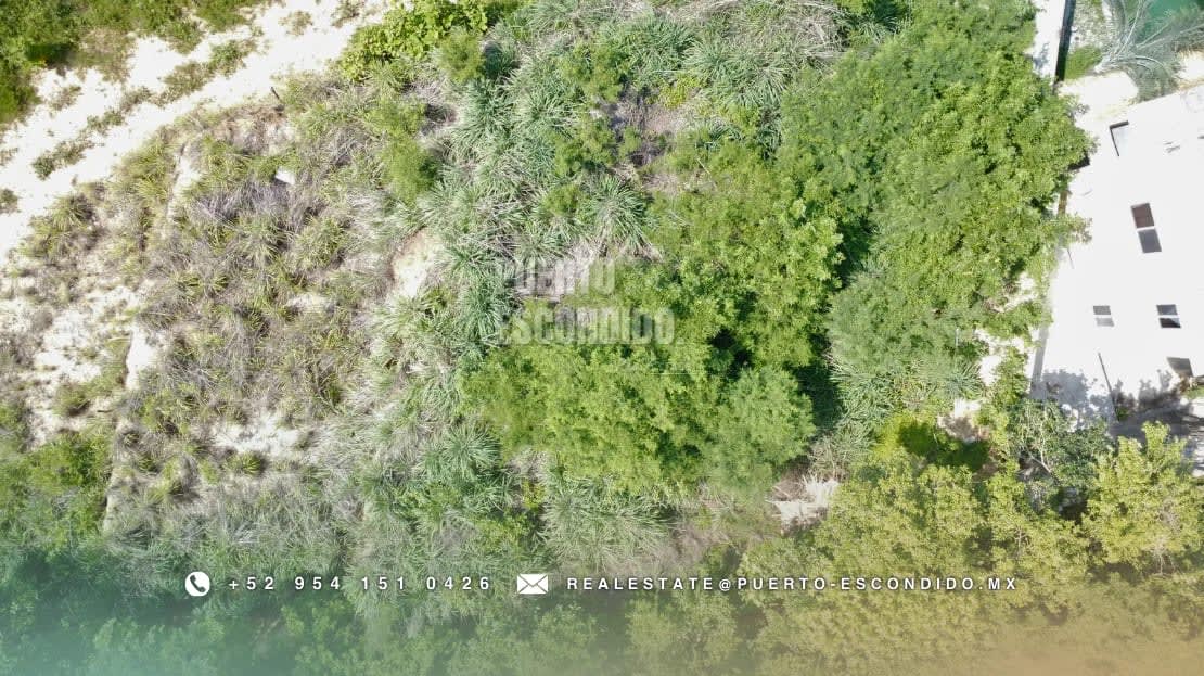 Lote con Vista al Mar en Miramar, Bajos de Chila - Miniatura 14