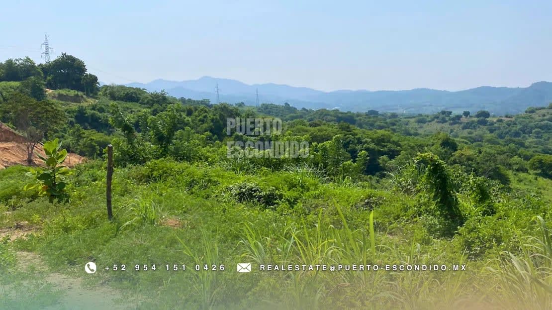 Lote con Vista al Mar en Miramar, Bajos de Chila - Miniatura 15