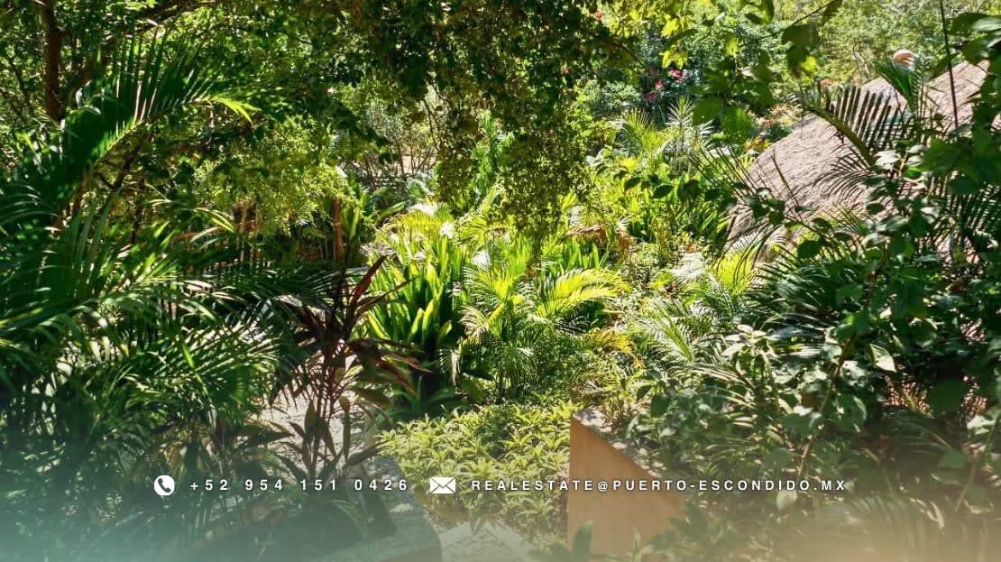 Eco Cabañas Cerca de Playa Mermejita - Miniatura 30