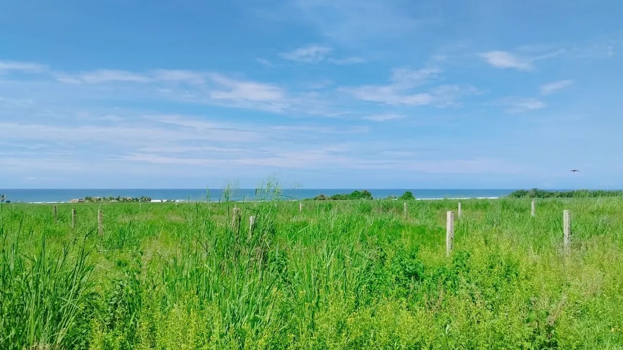 2 muy buenos Lotes vista al mar Tierra blanca - Miniatura 7
