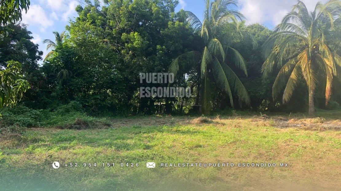 Oportunidad con Financiamiento: Terreno Sustentable en el Tomatal - Miniatura 8