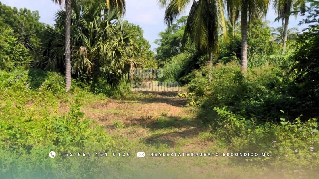 Oportunidad con Financiamiento: Terreno Sustentable en el Tomatal - Miniatura 10