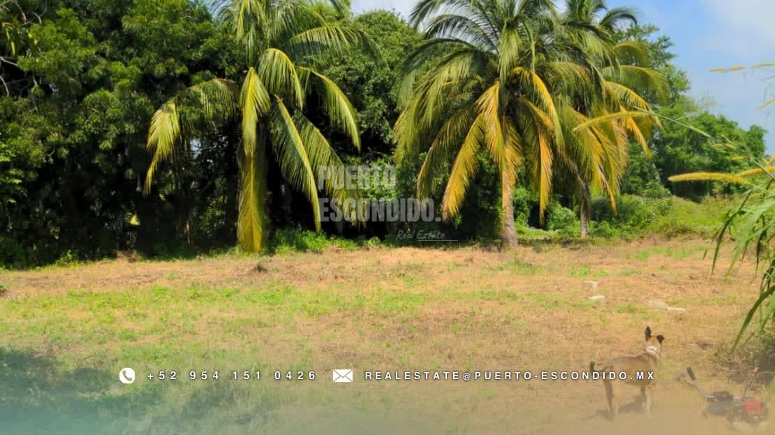 Oportunidad con Financiamiento: Terreno Sustentable en el Tomatal - Miniatura 13