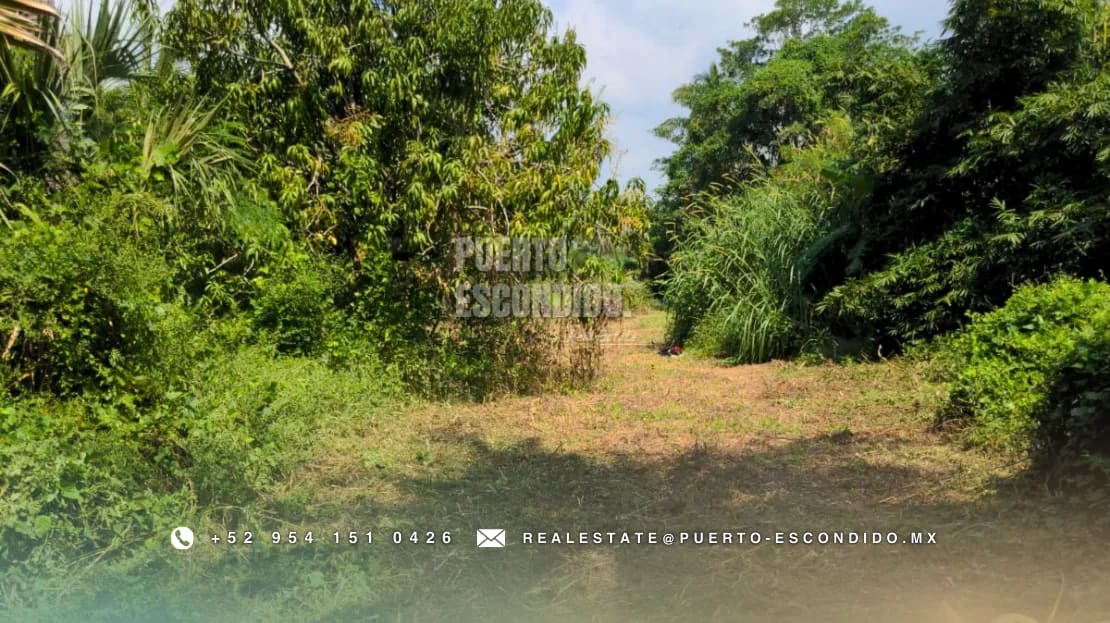Oportunidad con Financiamiento: Terreno Sustentable en el Tomatal - Miniatura 16