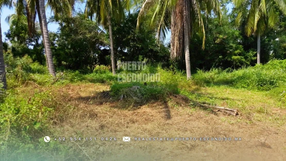 Oportunidad con Financiamiento: Terreno Sustentable en el Tomatal - Miniatura 17
