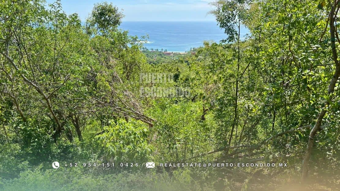 Terreno con Vista al Mar en Mazunte - Miniatura 8