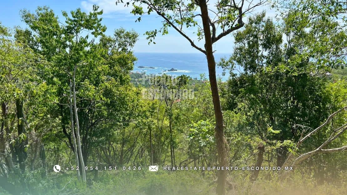 Terreno con Vista al Mar en Mazunte - Miniatura 11