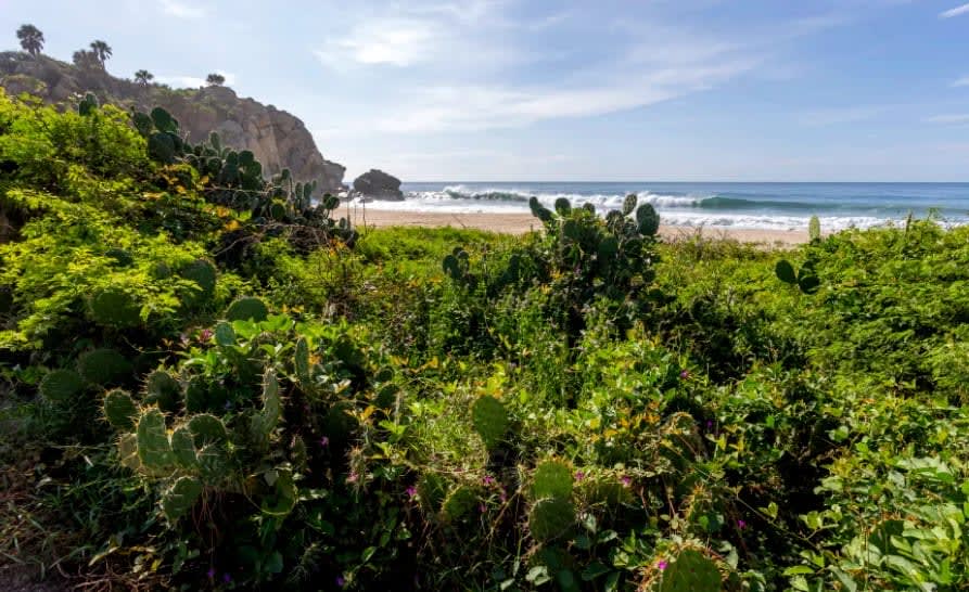 Ultimos 4 lotes pie de playa en Roca Blanca - Miniatura 7