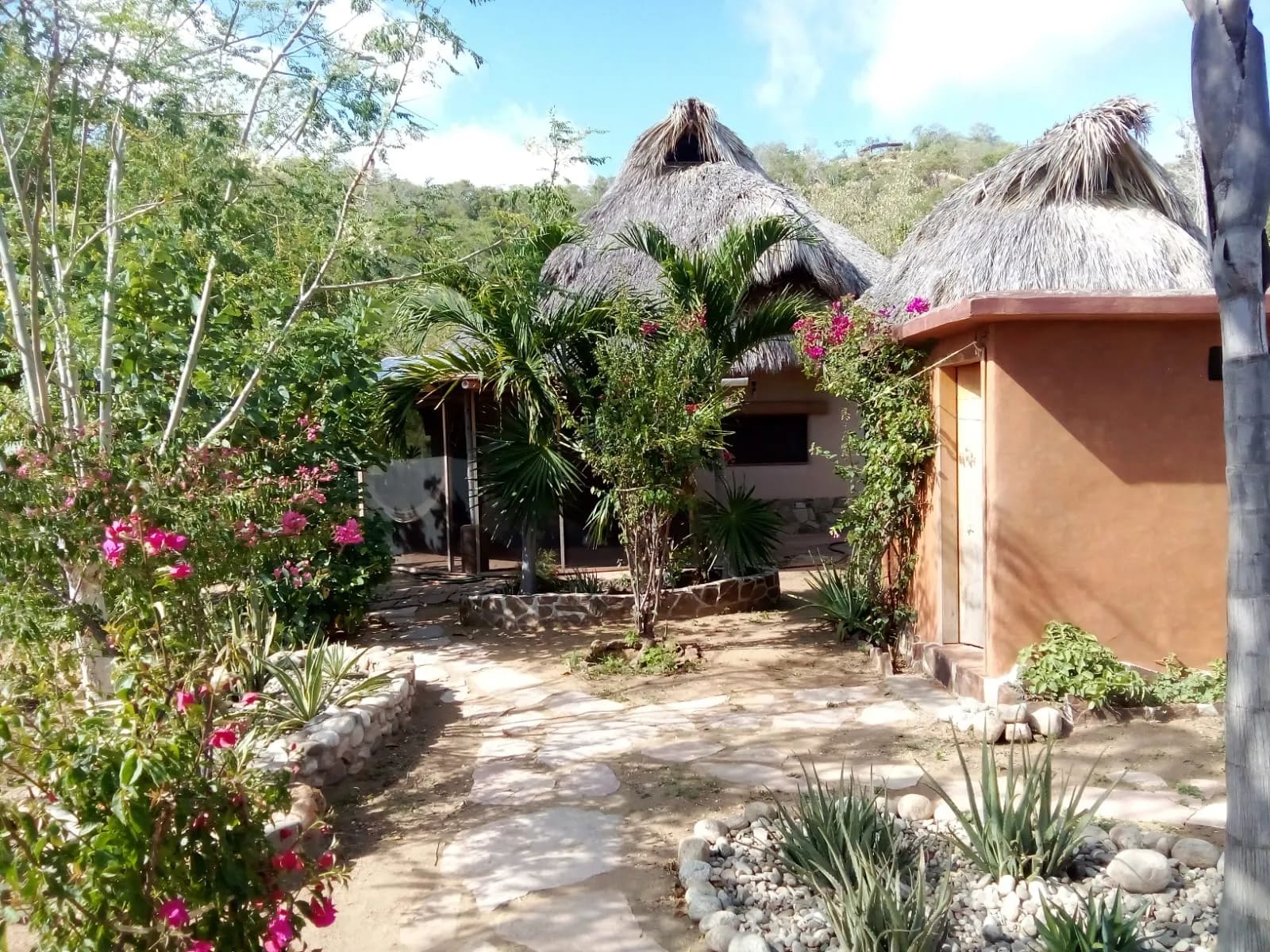 4 Increíbles Hectáreas con Vistas al Mar en Mazunte, Oaxaca - Miniatura 16