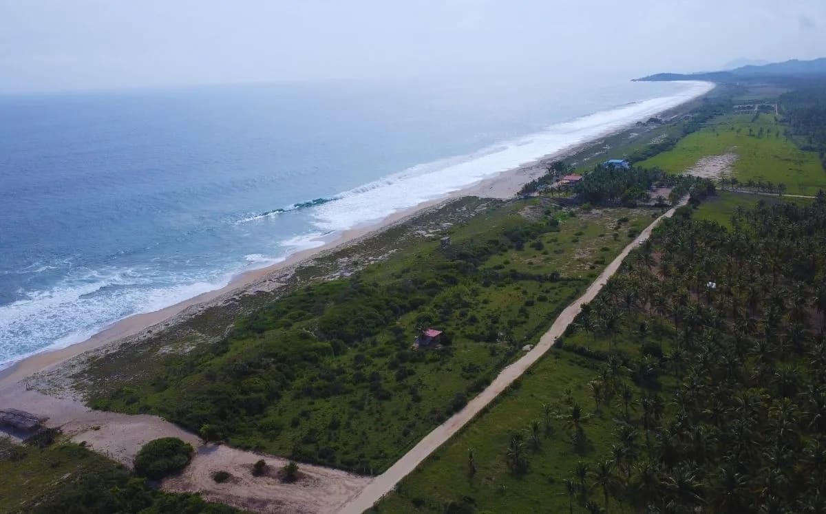 Lote de una hectárea frente a la playa en El Venado, Roca Blanca - Miniatura 6