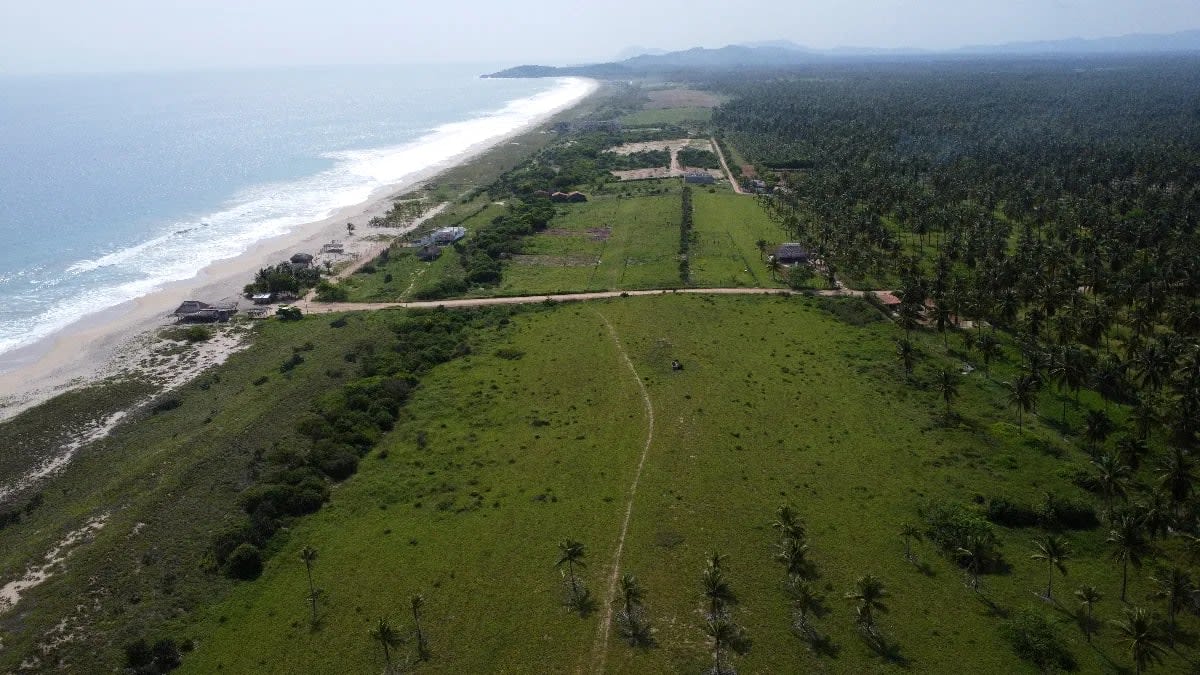 Terreno de 1 hectarea a pie de playa el Venado/Roca blanca - Miniatura 6