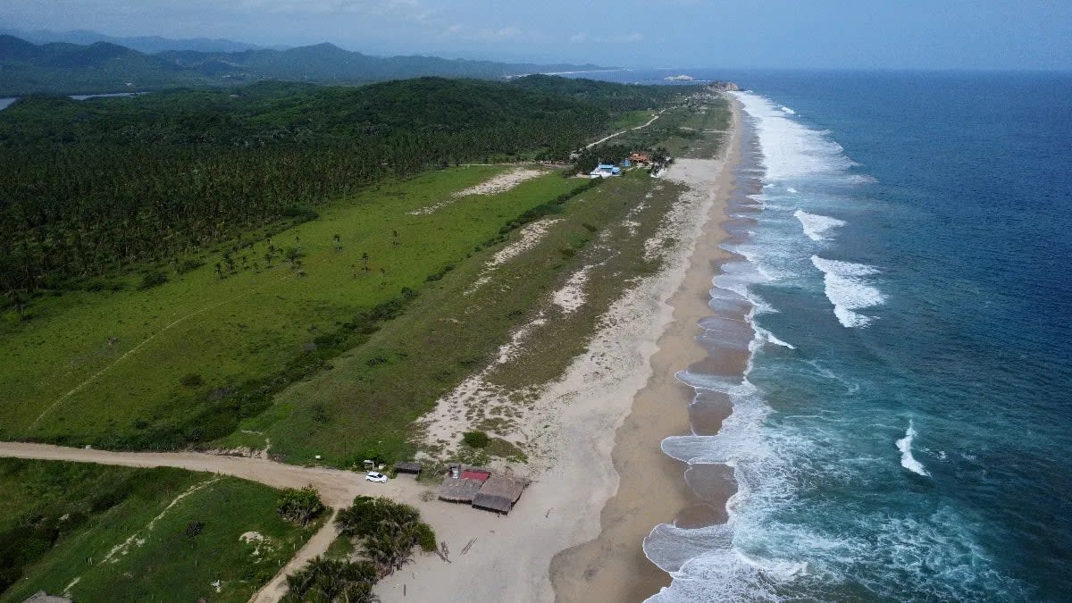 Terreno de 1 hectarea a pie de playa el Venado/Roca blanca - Miniatura 7