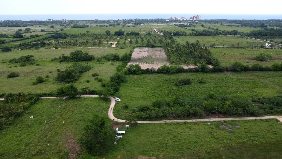 1242m2 lot in Palmarito at great price — photo 4