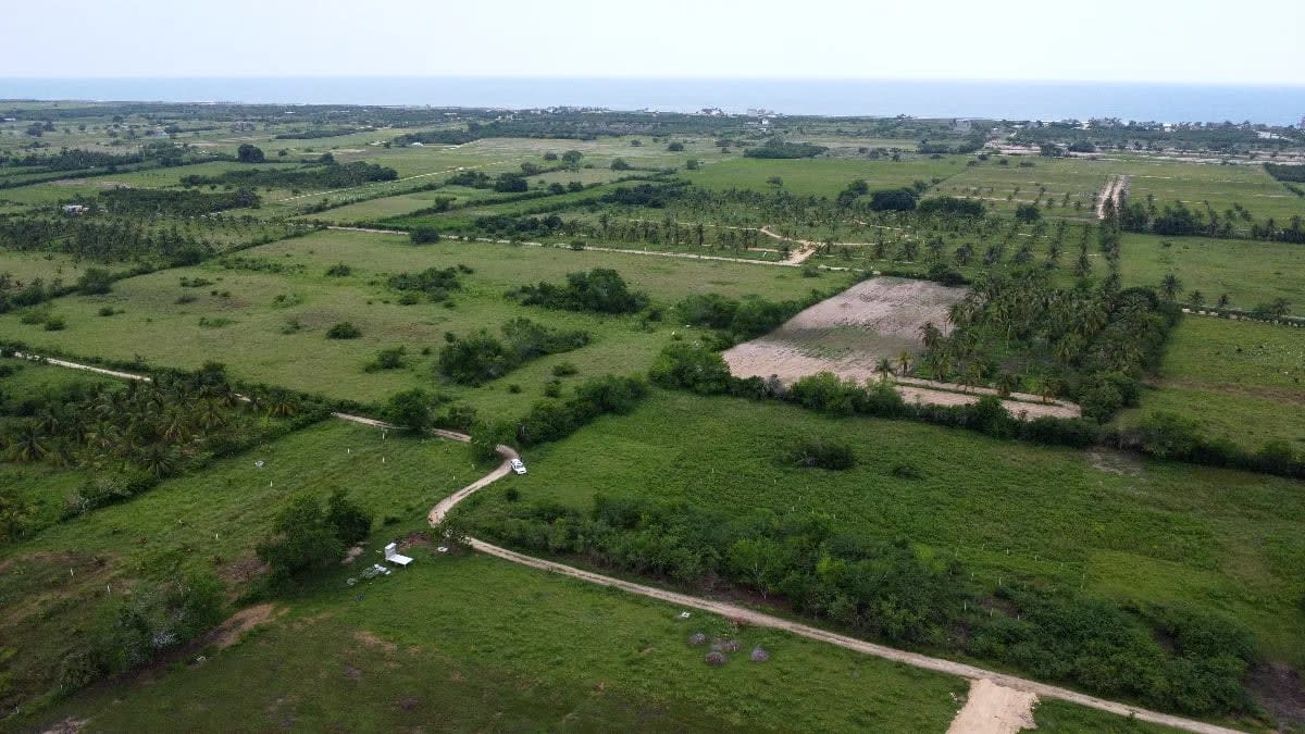 1242m2 en Palmarito a buen precio - Miniatura 6