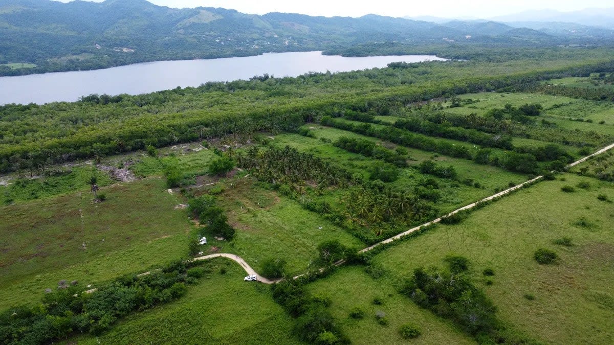 1242m2 en Palmarito a buen precio - Miniatura 10
