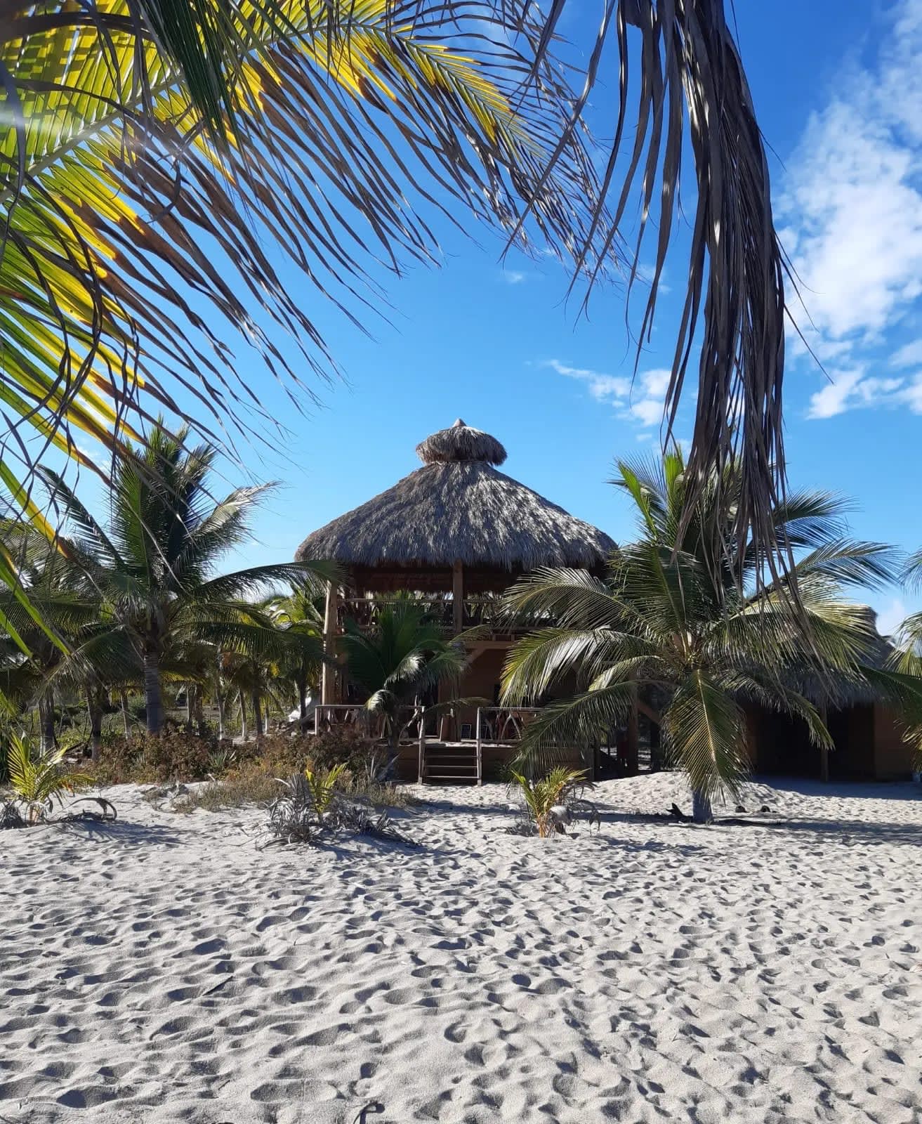 Restaurante a y terreno pie de playa en Chacahua!! Gran oportunidad! - Miniatura 7