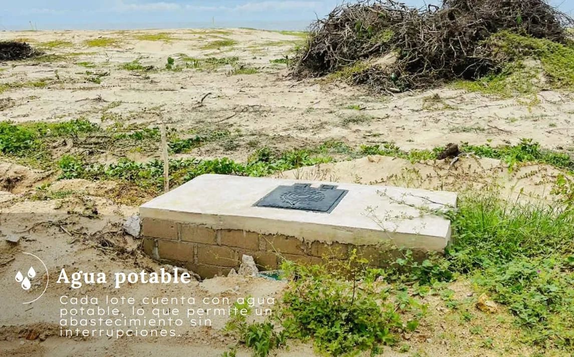 Lotes en Playa en Palmarito - Miniatura 7