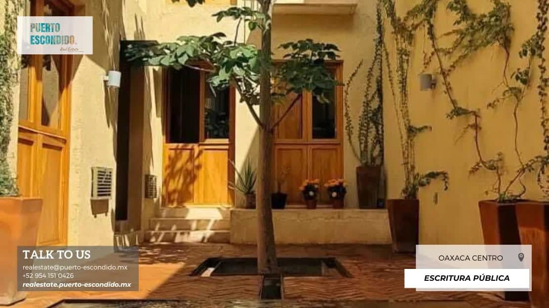 Increíble Studio en el Corazón de Oaxaca - Miniatura 6