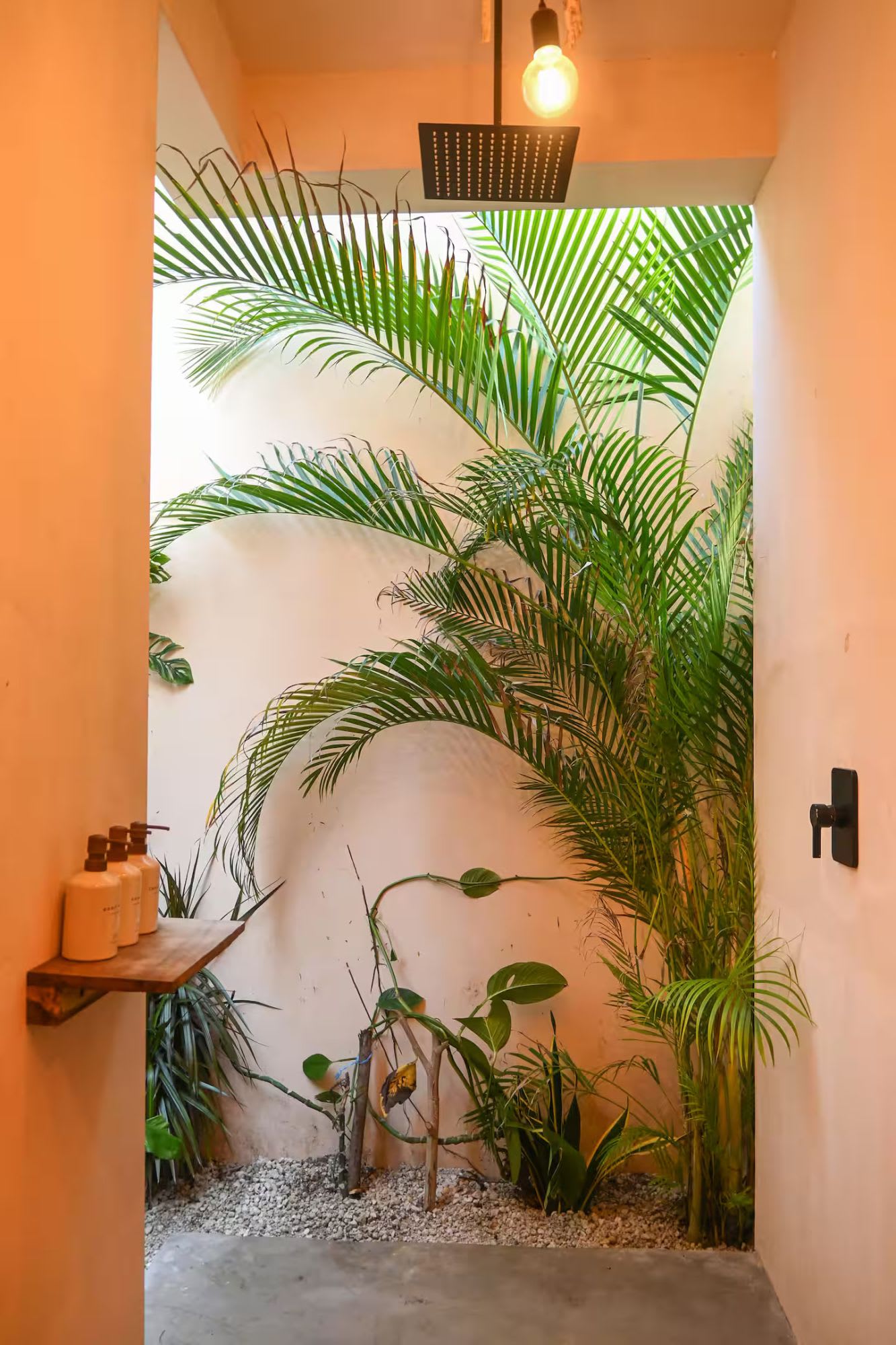Casa Lyuu — Residencia Pie de Playa en Palmarito - Miniatura 9