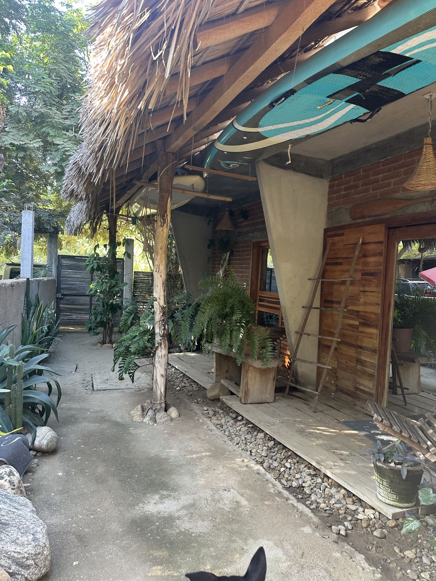Casa con Alberca y Bungalow en playa delfines - Miniatura 15