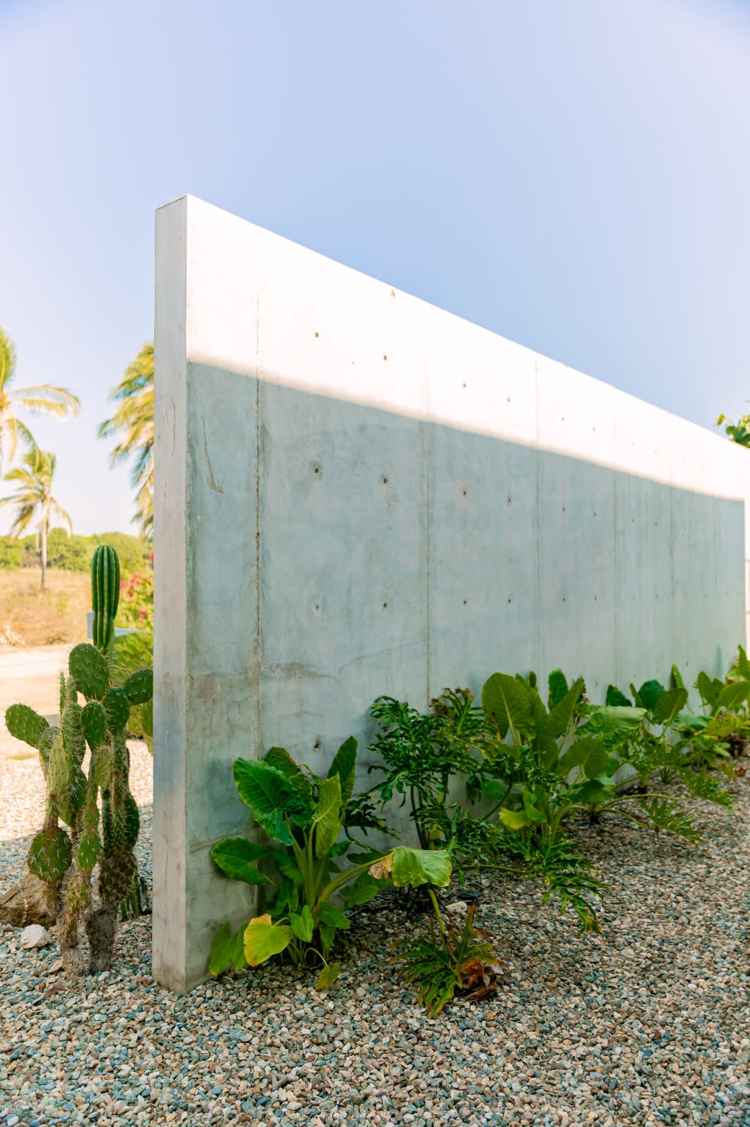 Casa Tortuga — Beachfront Villa with Pool in Tierra Blanca — photo 5