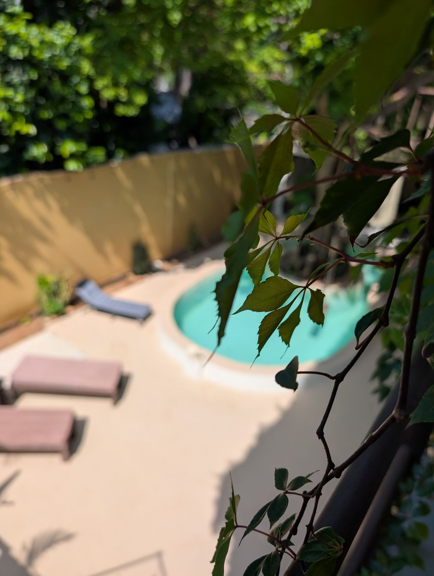 Retiro de Bienestar en Brisas de Zicatela - Miniatura 19