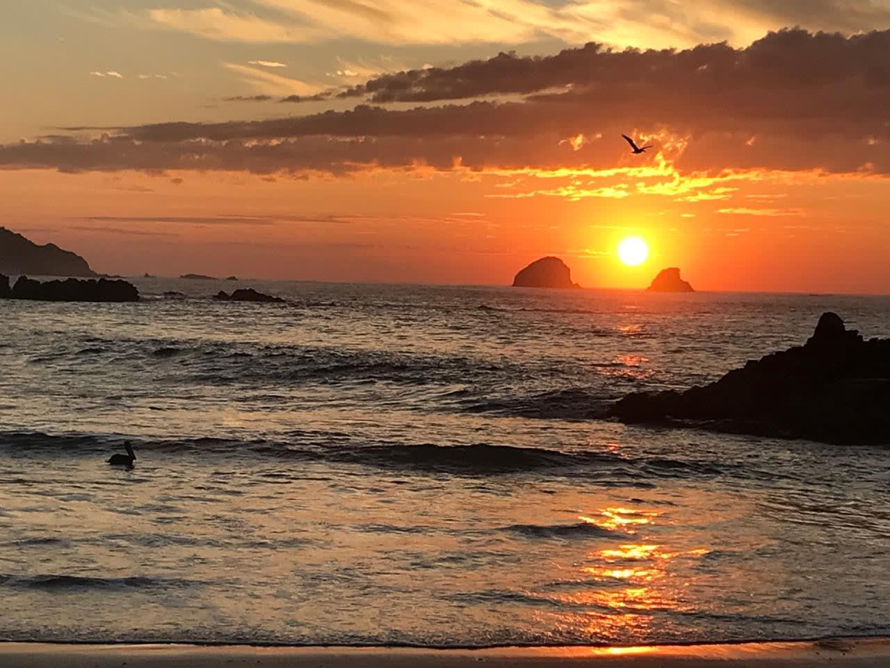 Casa Huitzil — Refugio Costero en Mazunte - Miniatura 37