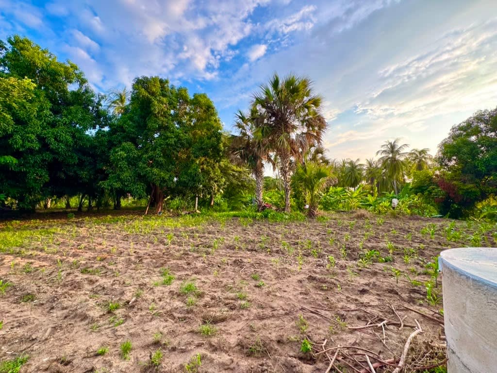 Oportunidad de Inversión en Terreno Costero en El Tomatal - Miniatura 15
