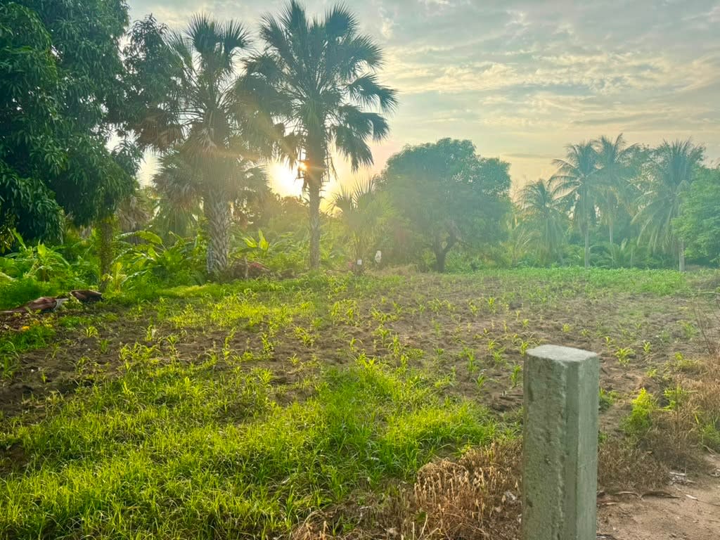 Oportunidad de Inversión en Terreno Costero en El Tomatal - Miniatura 16