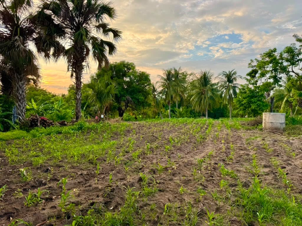 Oportunidad de Inversión en Terreno Costero en El Tomatal - Miniatura 17