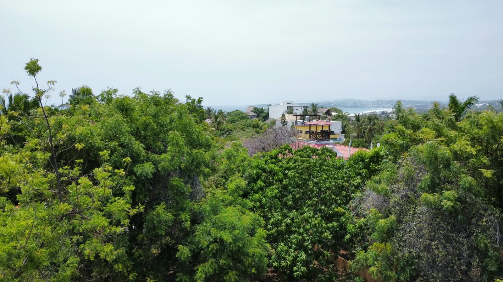 Increible oportunidad en La Punta con 1277m2 - Miniatura 12