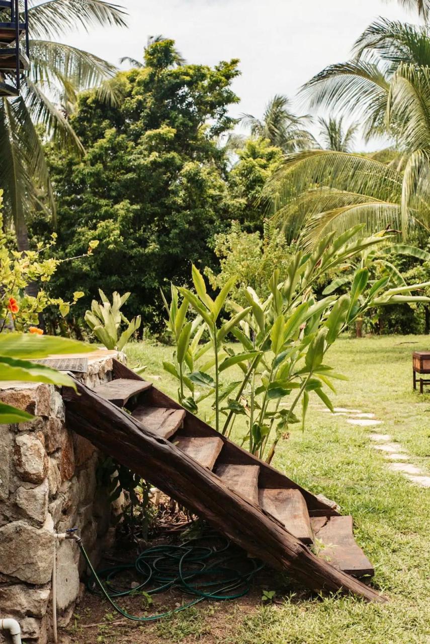 Eco-Villa Tropical y Huerto de Frutas en Producción Cerca de Puerto Escondido - Miniatura 12