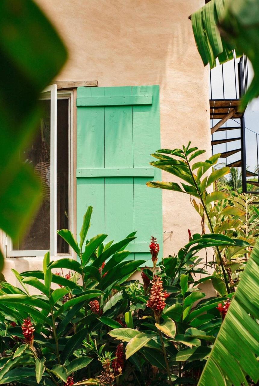 Eco-Villa Tropical y Huerto de Frutas en Producción Cerca de Puerto Escondido - Miniatura 13