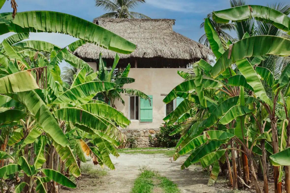 Eco-Villa Tropical y Huerto de Frutas en Producción Cerca de Puerto Escondido - Miniatura 26