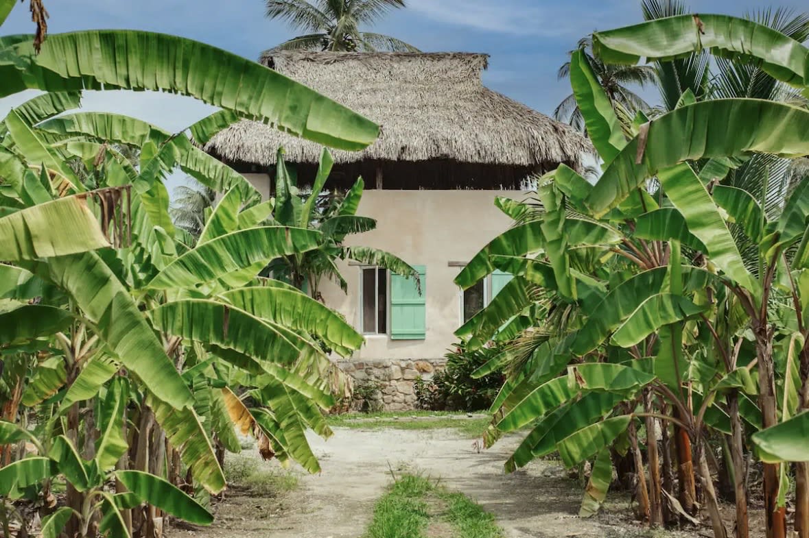 Eco-Villa Tropical y Huerto de Frutas en Producción Cerca de Puerto Escondido - Miniatura 40
