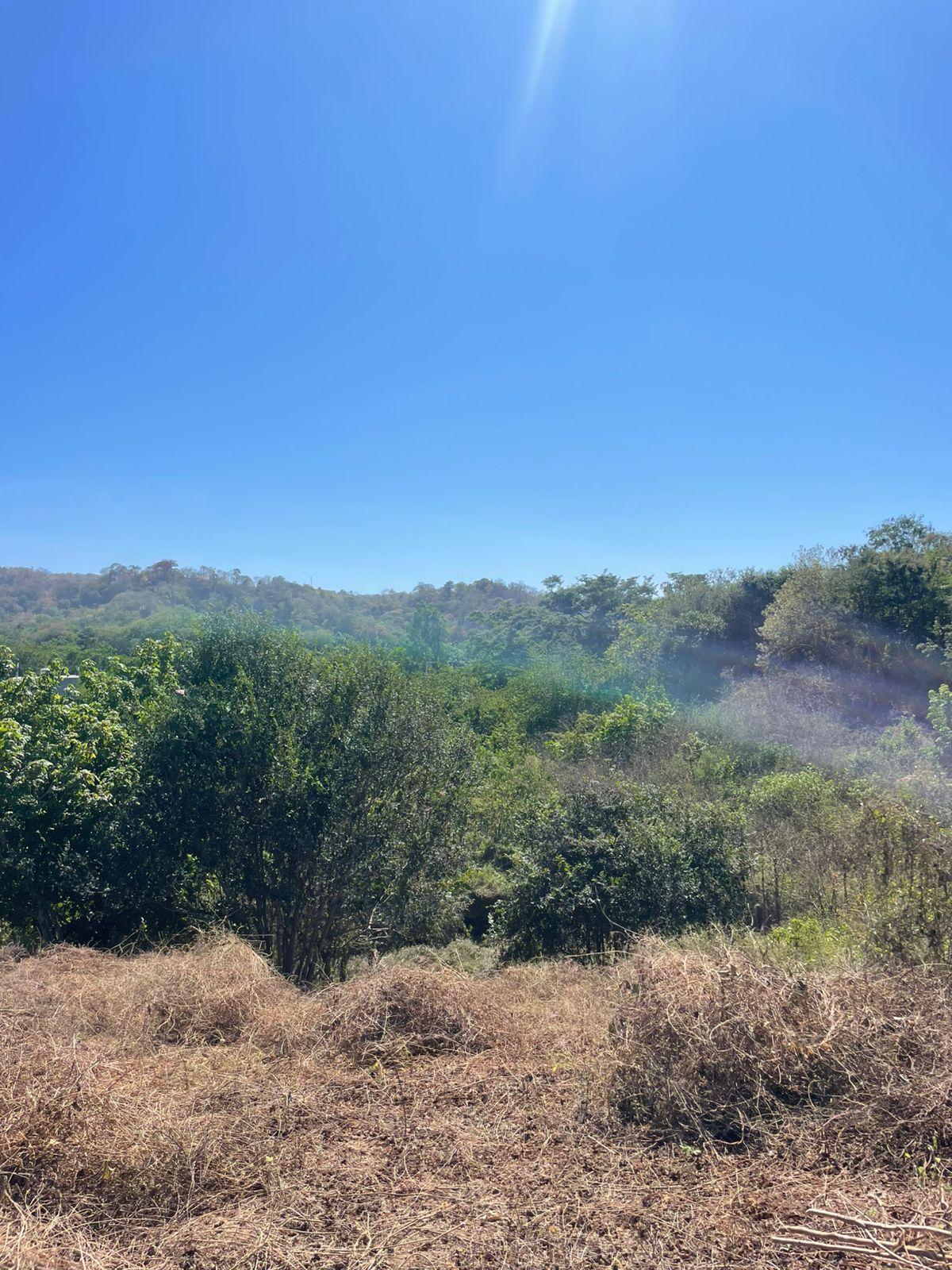 Terreno en Puerto Ángel - Imagen 1