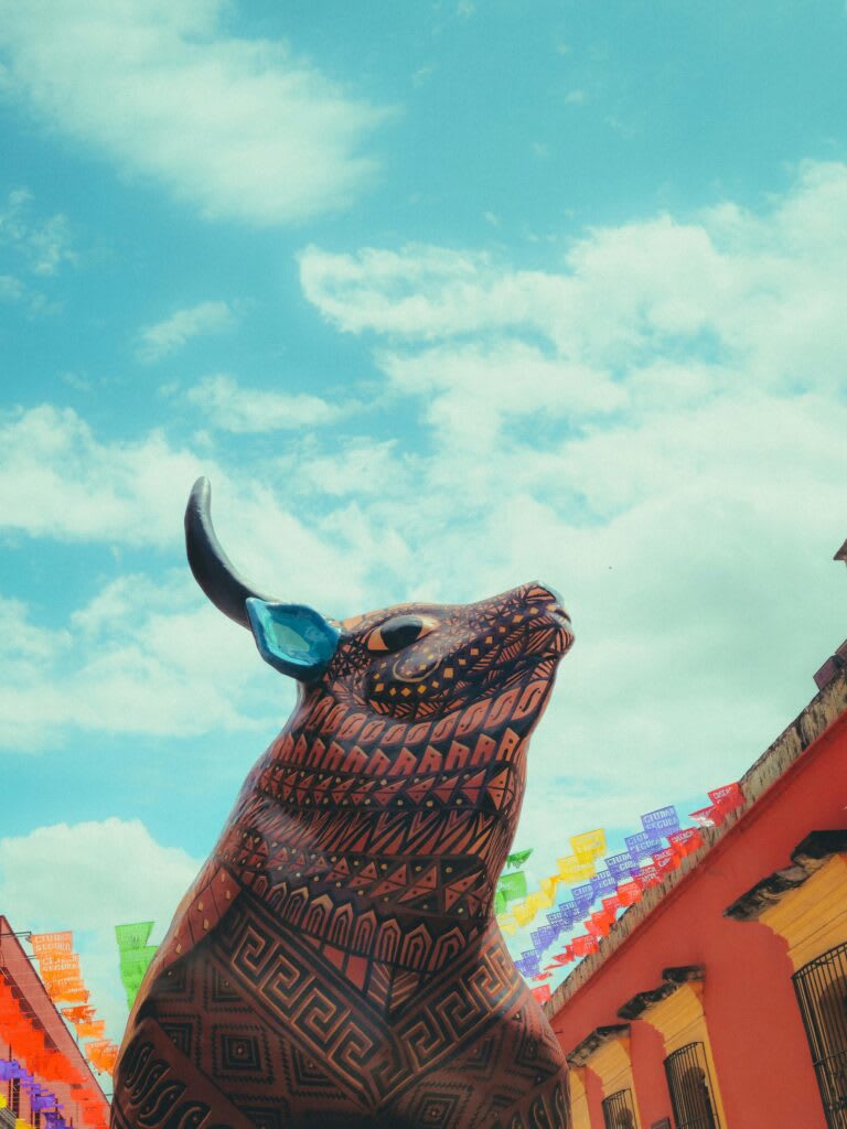Hotel Investment Opportunities in Oaxaca’s Expanding Tourism Market