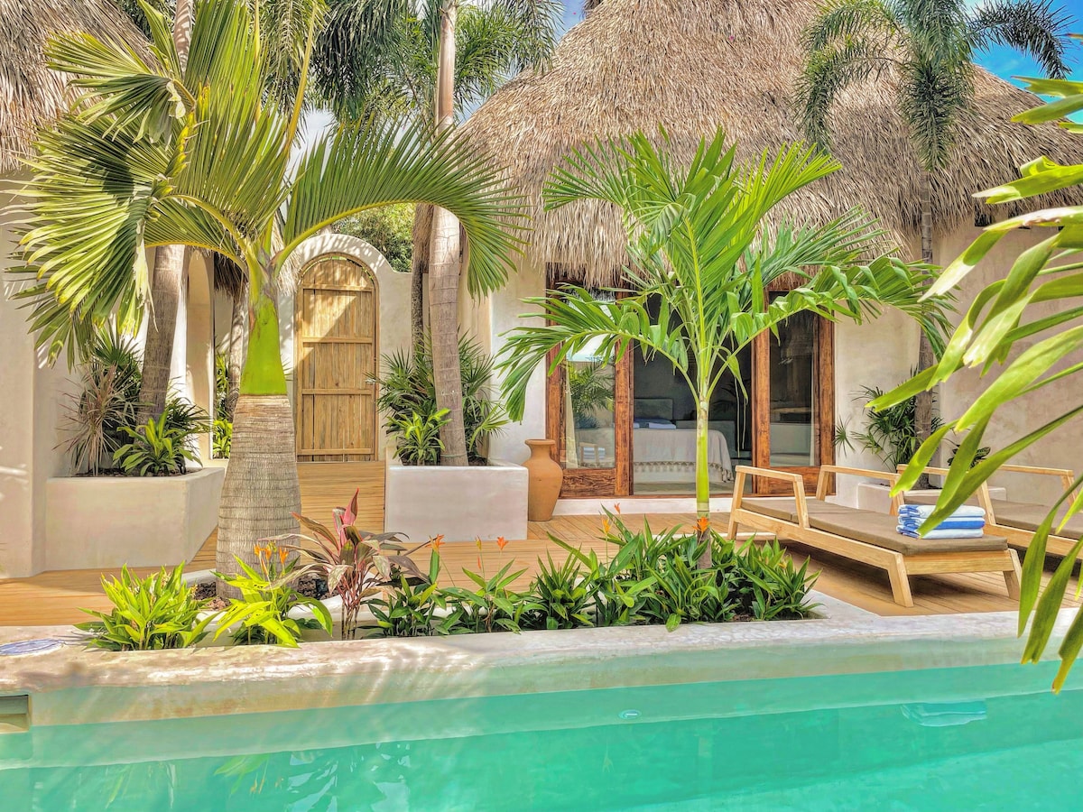 Oasis Alegria - Miniatura 6